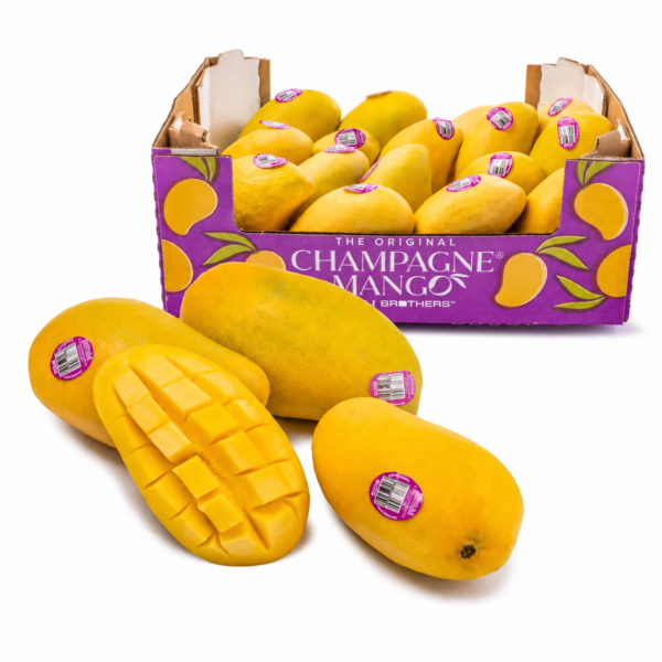 Champagne Mango Gift Box, 12–20 Counts