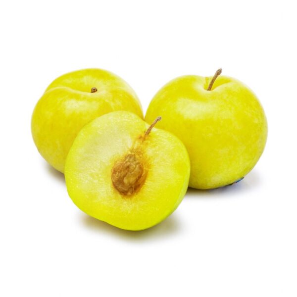 Green Plum 1.8-2 lb