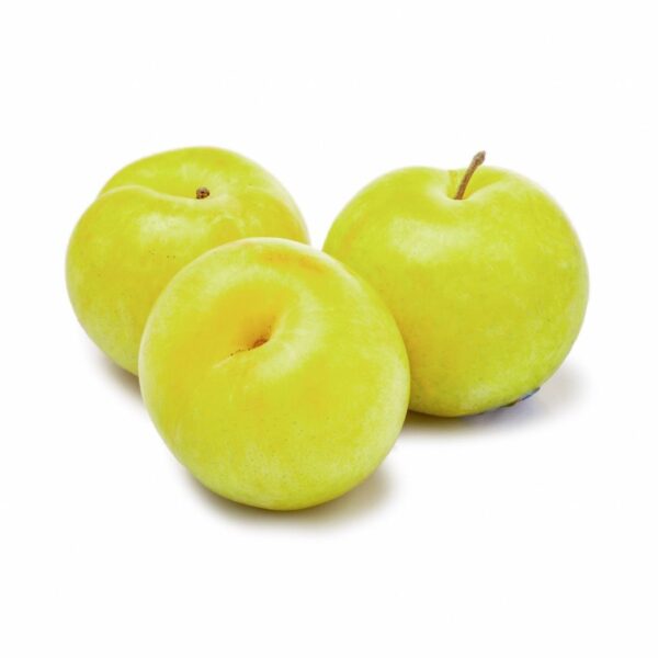 Green Plum 1.8-2 lb
