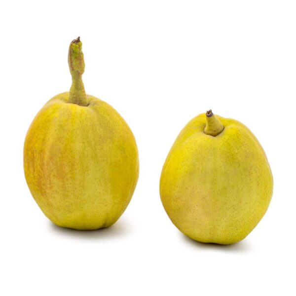 Fragrant Pear 5 lb