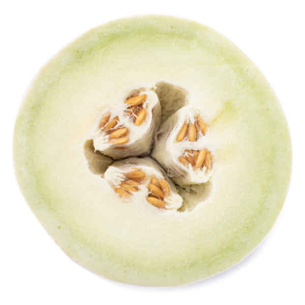 Honeydew Melon 1 count