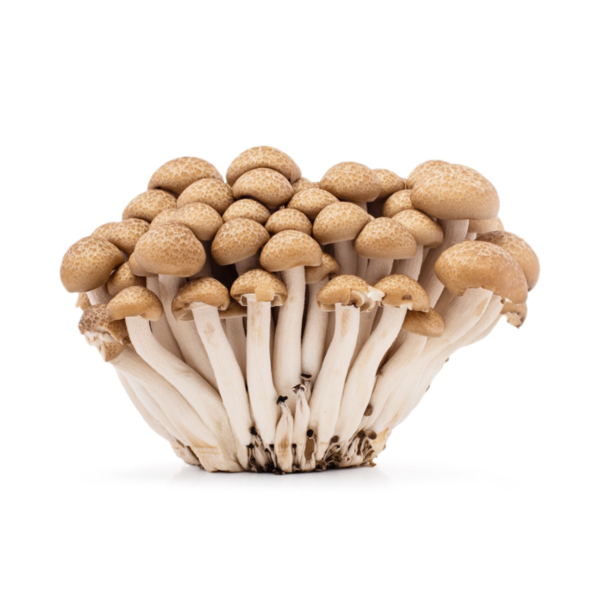 Hokto Organic Shimeji Brown Mushroom 100 g