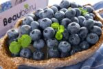 Jumbo Blueberries 9.8 oz