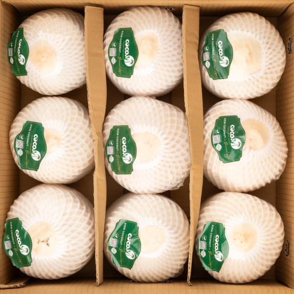 Vietnam Siamese Coconuts 9ct 1 case