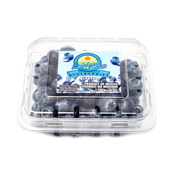 Blueberry 6 oz