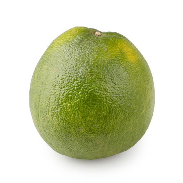 Vietnam Emerald Red Pomelo 1 count