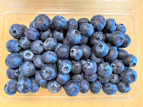 Jumbo Blueberries 9.8 oz