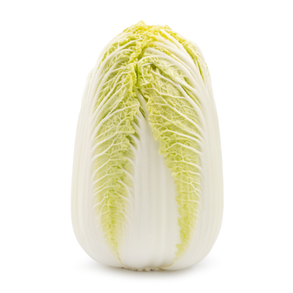 Baby Napa Cabbage 2-2.5 lb