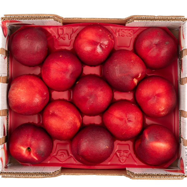 White Nectarine Gift Box 4 lb